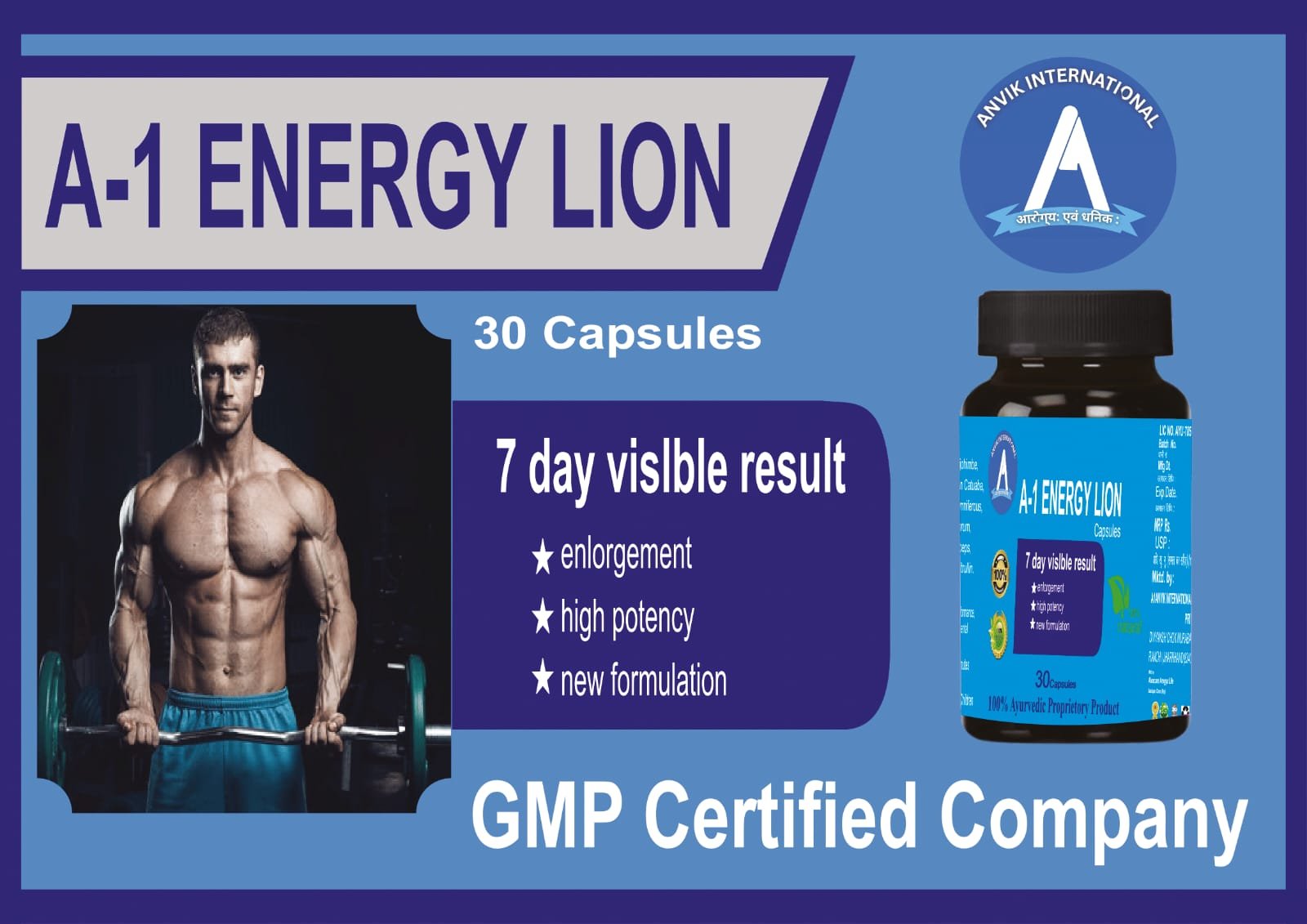 A1_ENERGY LION